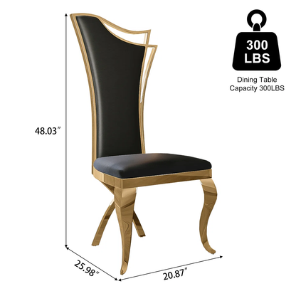 Modanio Solid Back Side Dining Chair with Upholstered Seat | Modern Glam Design | Set of 2