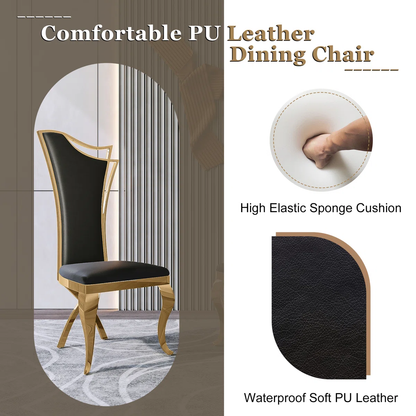 Modanio Solid Back Side Dining Chair with Upholstered Seat | Modern Glam Design | Set of 2