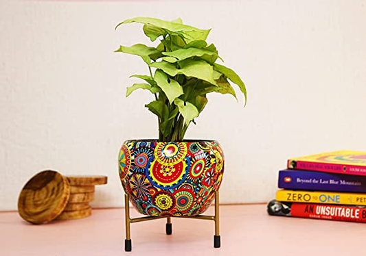 Flower Pot
